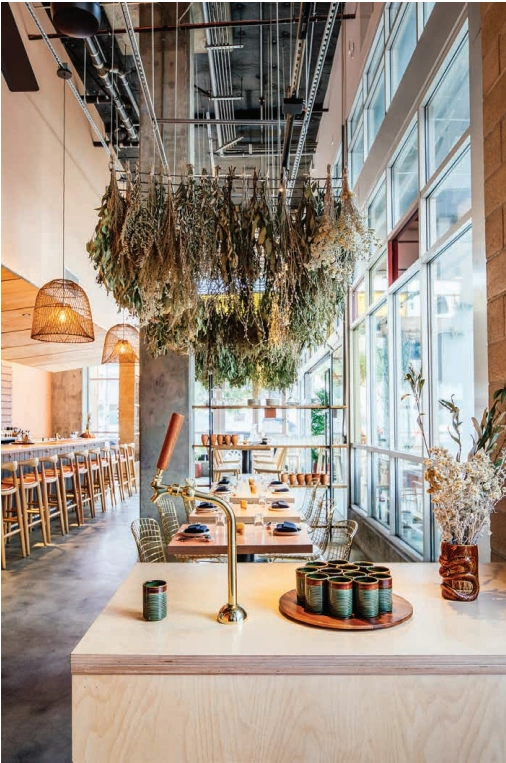 Dining beneath hanging herbs