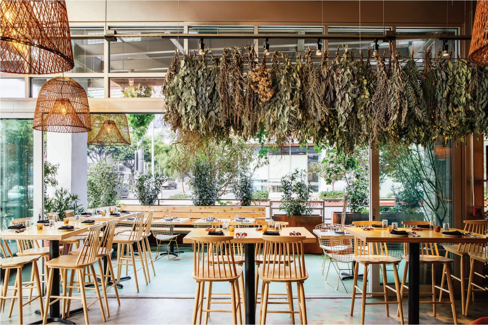 Planted dining terrace